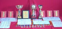 幼兒園部分獲獎獎杯、證書